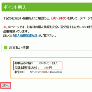 2-3クレジットカードでお支払いの場合